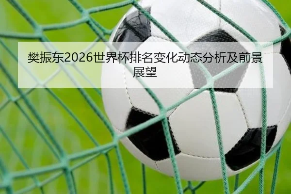 樊振东2026世界杯排名变化动态分析及前景展望