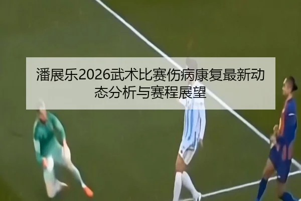 潘展乐2026武术比赛伤病康复最新动态分析与赛程展望