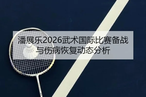 潘展乐2026武术国际比赛备战与伤病恢复动态分析